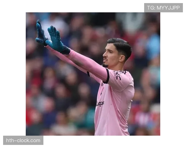 布伦特福德防守体系稳固,球队状态回暖展现实力新高度 布伦特福德防守体系稳固,球队状态回暖展现实力新高度